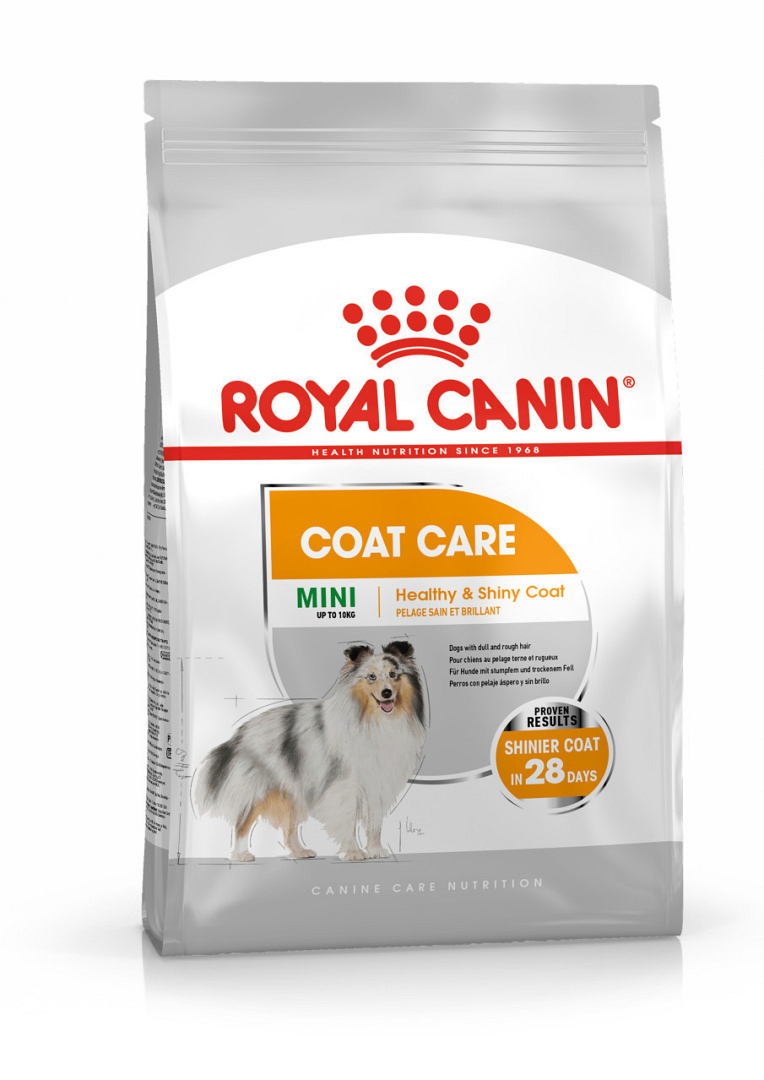 Emotie Muildier Heup Royal Canin hondenvoer Coat Care Mini 3 kg | Animal Center