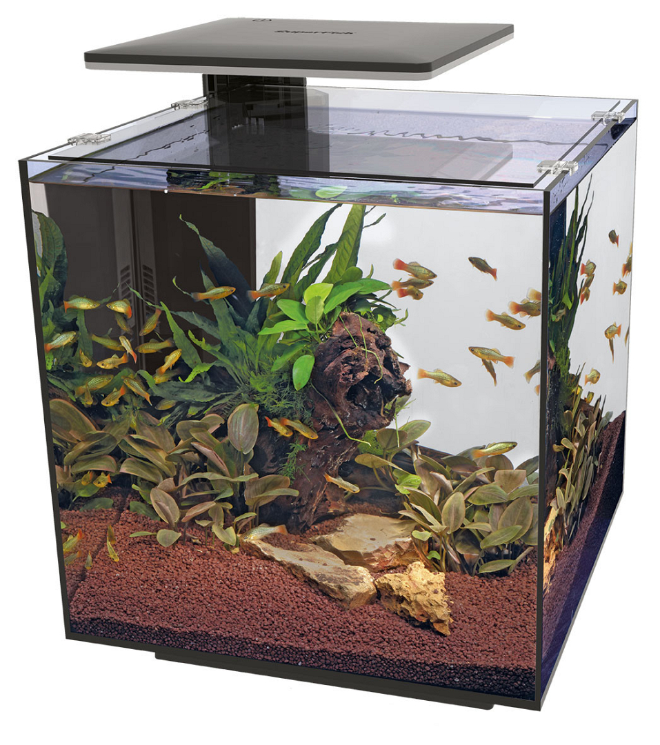Uithoudingsvermogen cabine Almachtig SuperFish aquarium Qubiq 60 Pro zwart | Animal Center