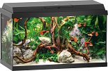 Juwel aquarium Primo 60 zwart