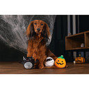 Beeztees Halloween Trick or Treat Assorti