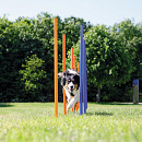 TRIXIE Dog Activity Agility Slalom