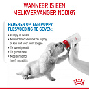 Royal Canin hondenvoer Babydog Milk 2 kg