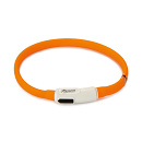 Beeztees Veiligheidshalsband Dogini 35 cm x 10 mm