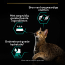 Pro Plan kattenvoer Sterilised Nutrisavour Kip 10 x 85 gr