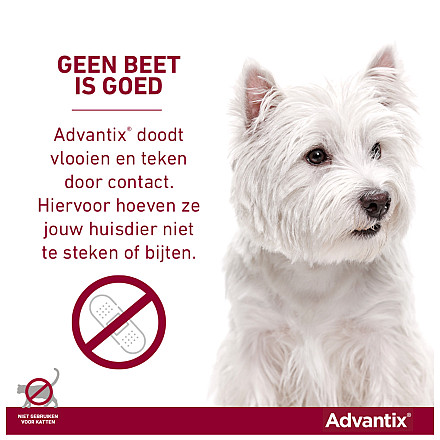 Advantix 400 6 pipetten