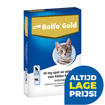 Bolfo Gold kat 40 <br>4 pipetten