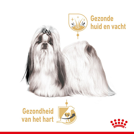 Royal Canin hondenvoer Shih Tzu Adult 12 x 85 gr