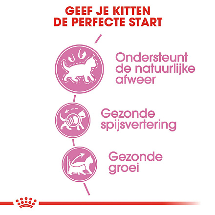 Royal Canin kattenvoer Kitten 10 kg