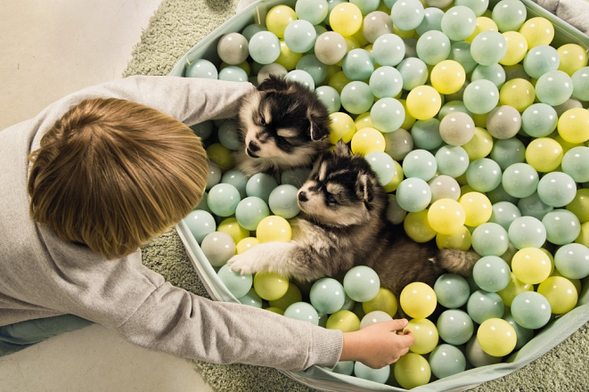 Beeztees Puppy ballenbad Funchie grijs/groen