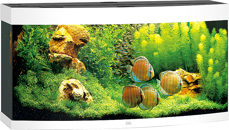 Juwel aquarium Vision 260 LED wit