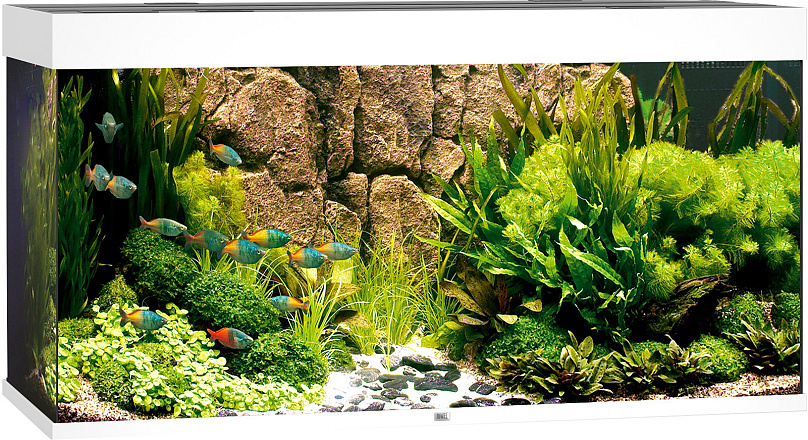 Juwel aquarium Rio 350 LED wit